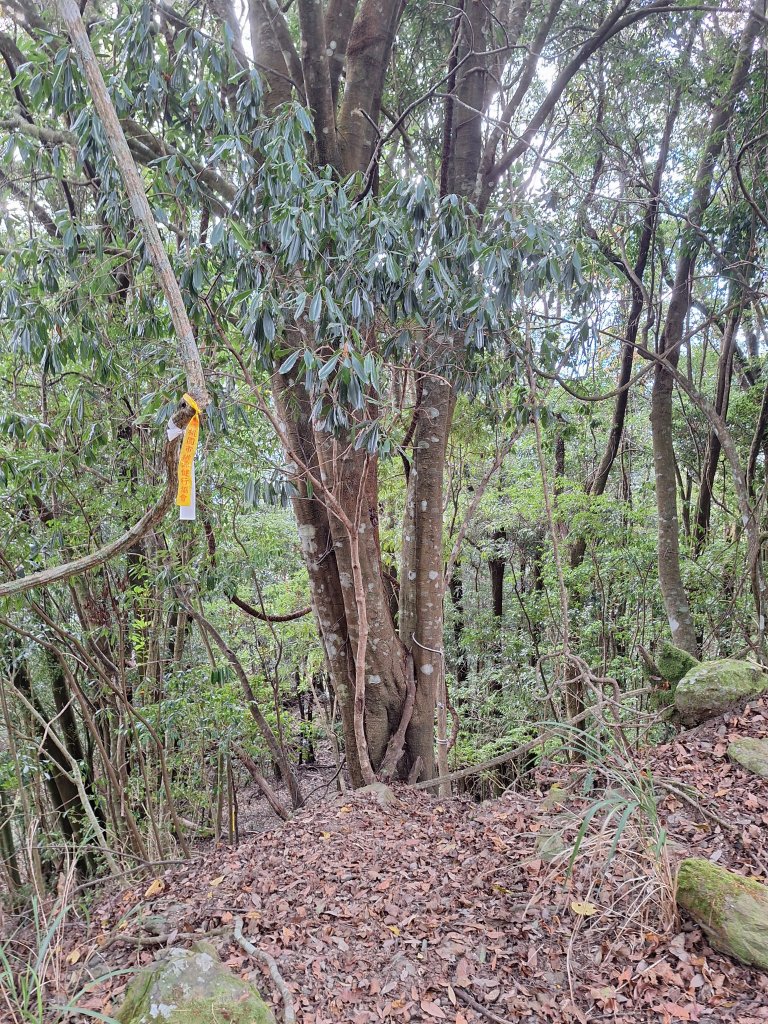 雪見駐在所+雪見山20251225_2971629