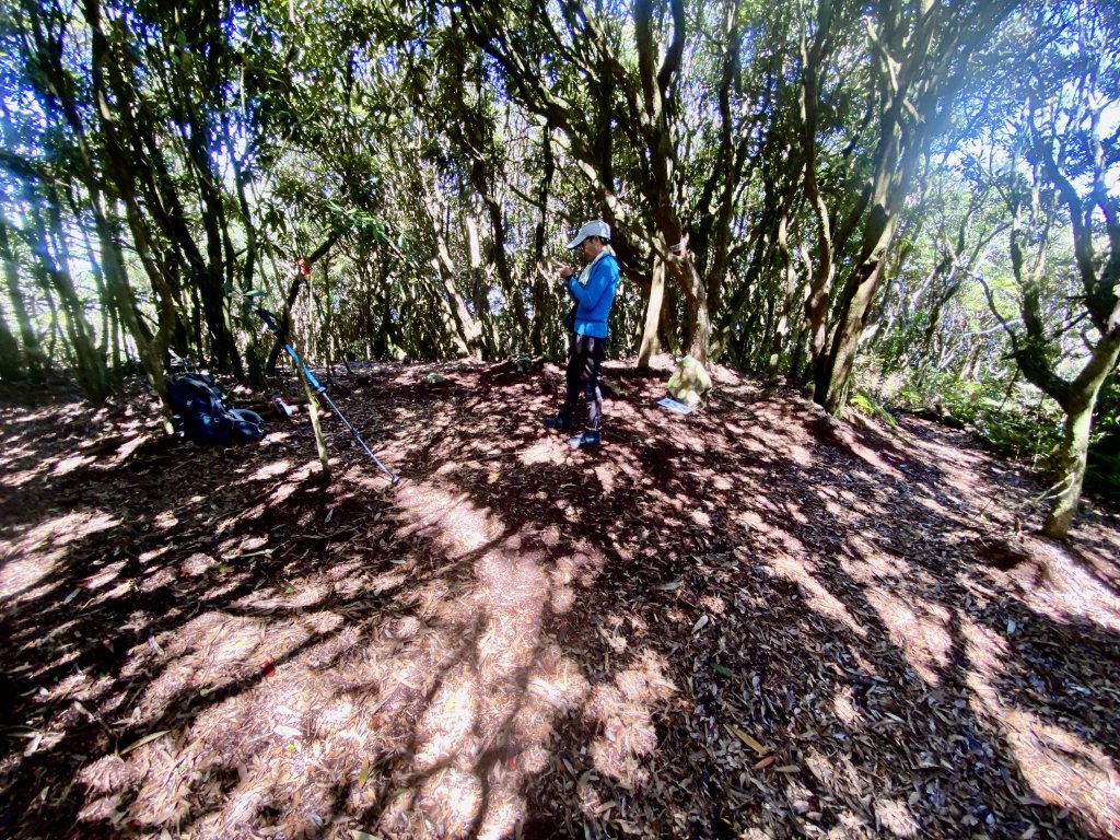 橫嶺山-沙蓮山-笛吹山連走    2022/7/5_1754716