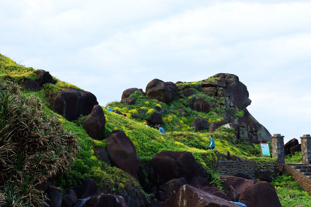 【富貴雙灣】北海岸深度旅遊_2144540