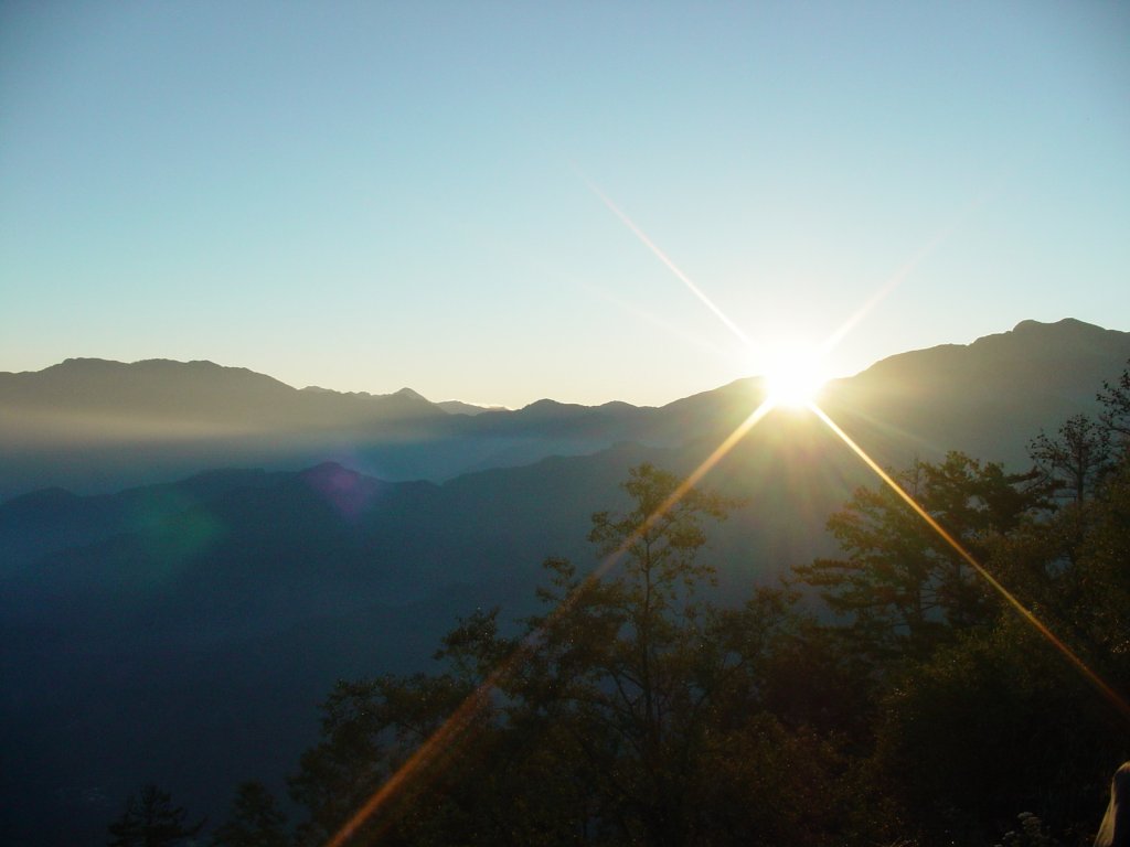出日阿里山_1452440