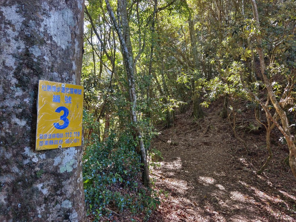 加里山（大坪登山口O繞）112/11/28_2362937