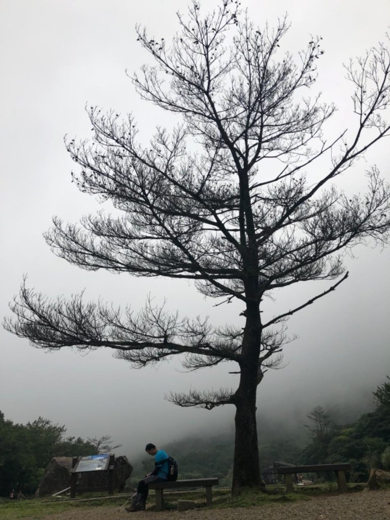 1080724大屯山主峰_636320