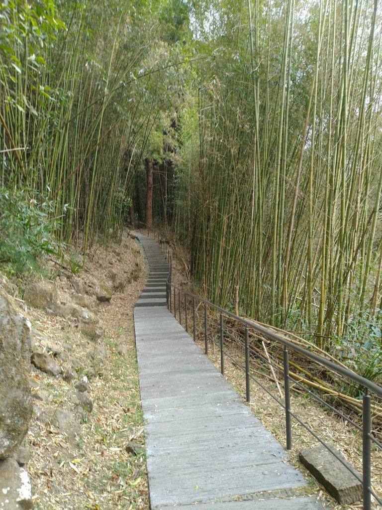 2023-03-04 奮起湖奮起步道_2057737