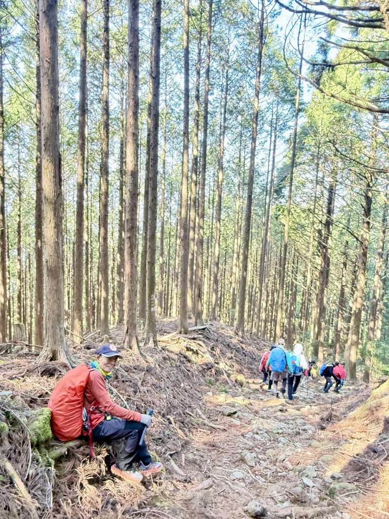 熊野古道中邊路D6 大雲取越 2025.3.21_2747129