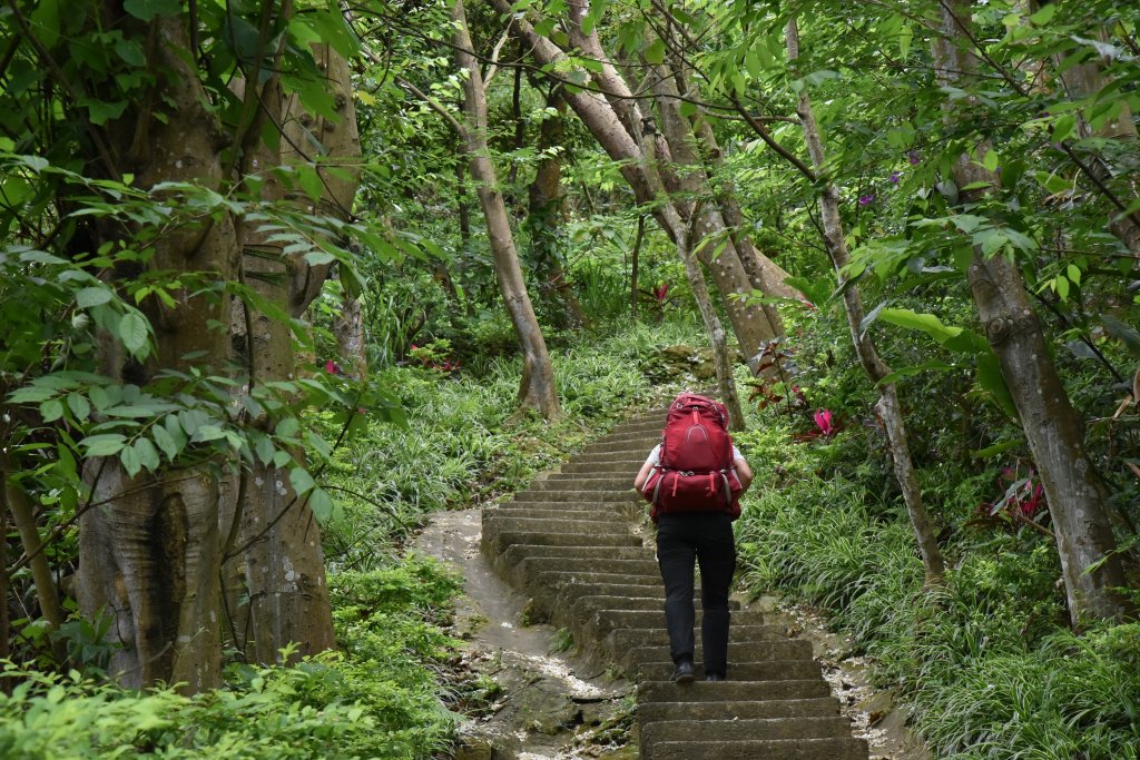 樹林大棟山／小百岳015_1408527