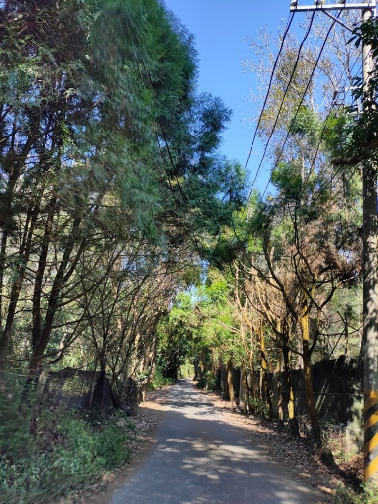 ［小百岳］頭嵙山+貳嵙山_2237729