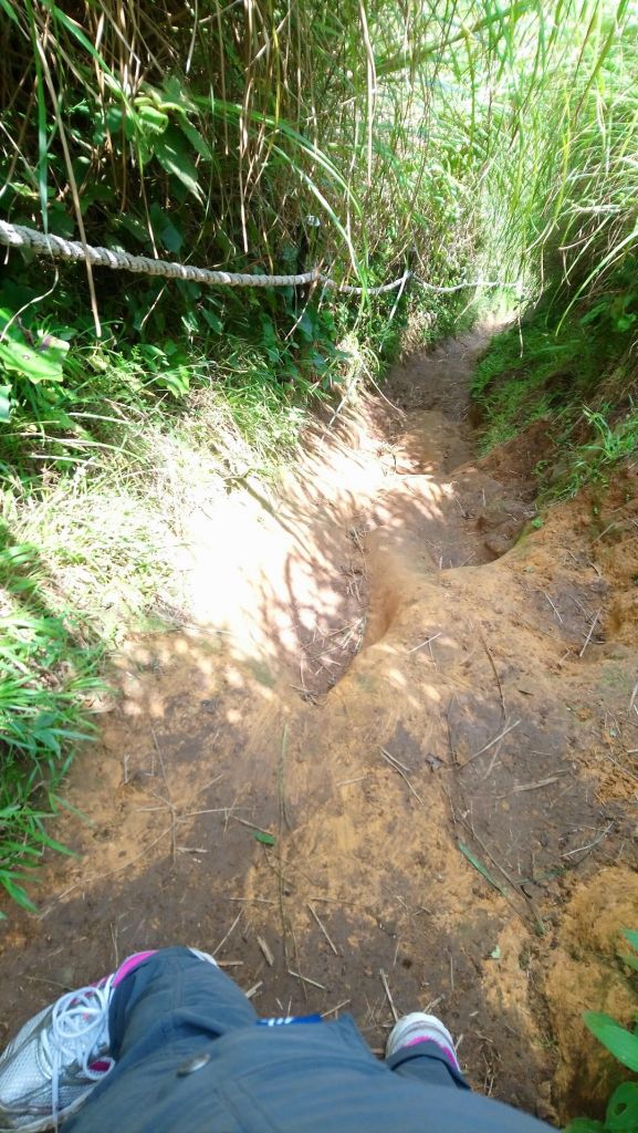 【7/28】大縱走-3,4 大屯面天向天_374433