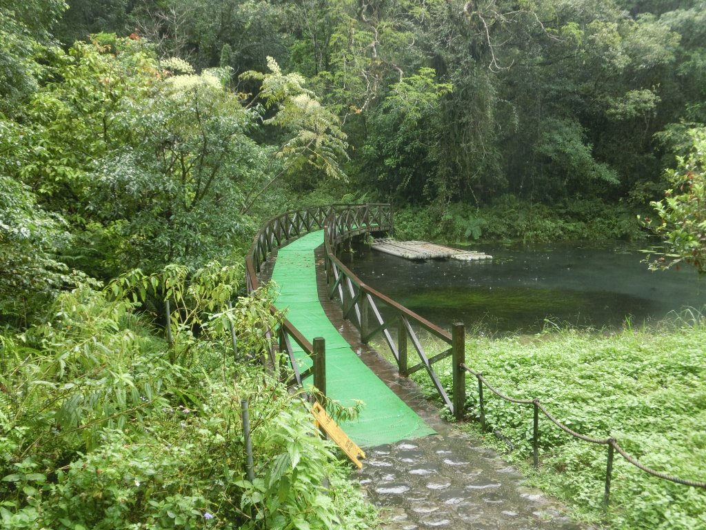 福山植物園_690969