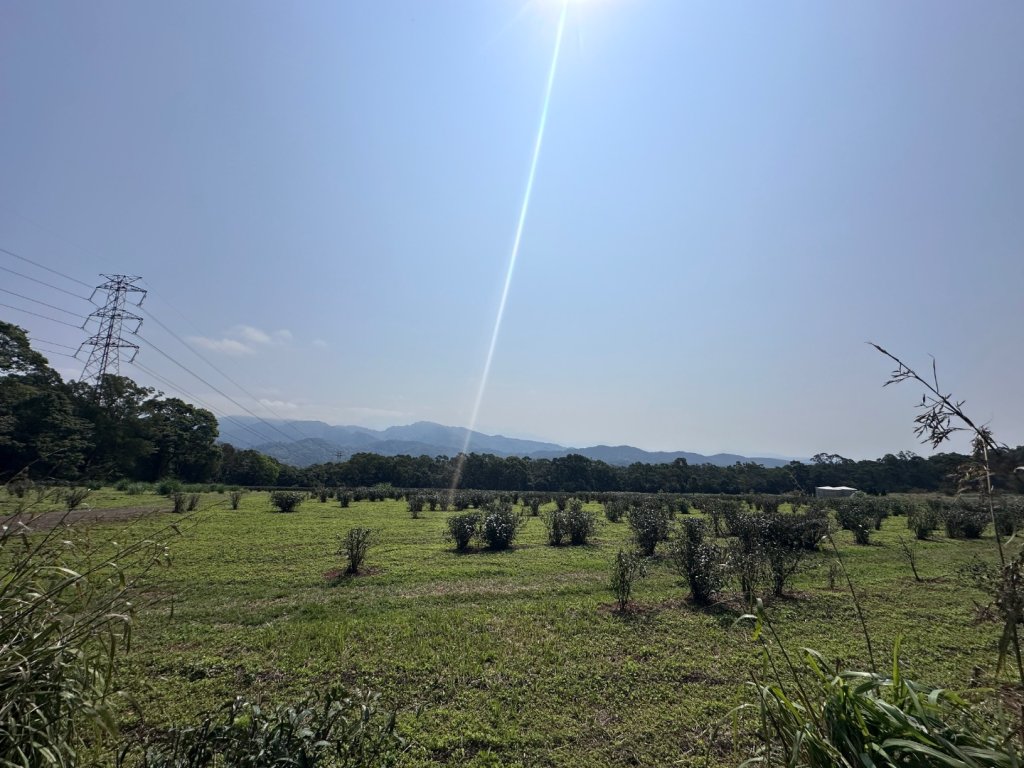 挑炭古道｜三通嶺古道_2730441