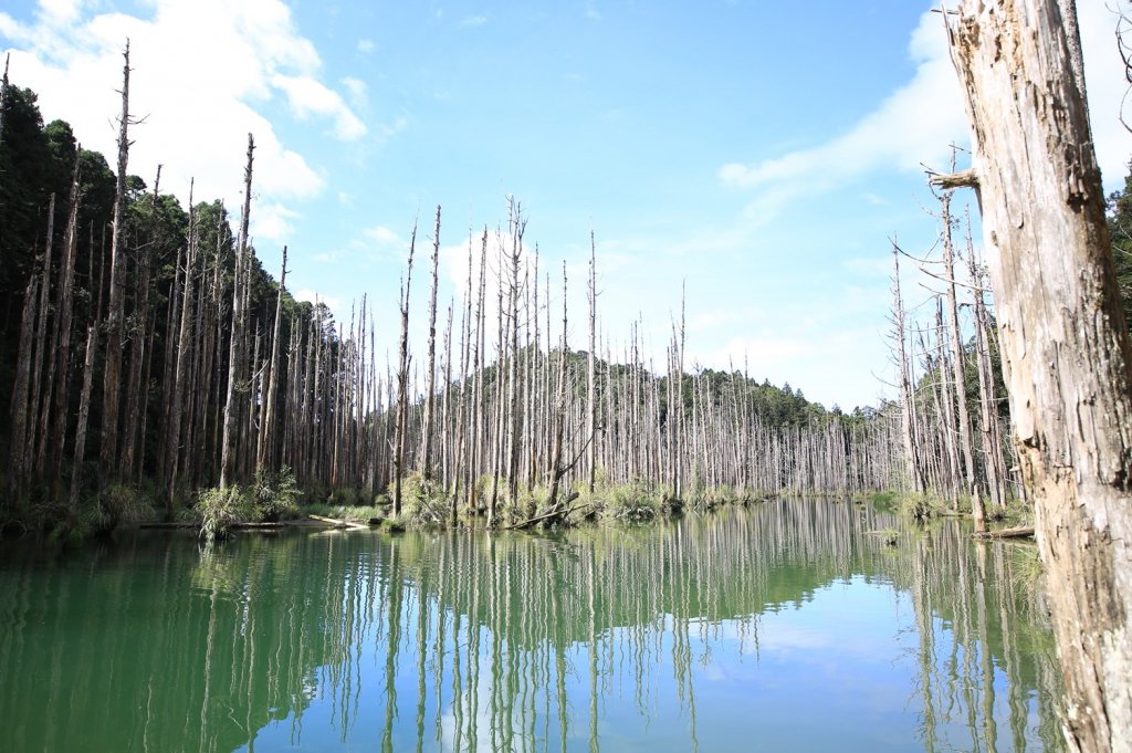水樣森林 第一次在山裡過夜_659227