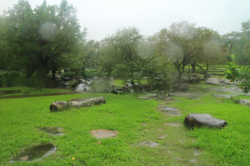 雨紛紛之羅東運動公園20201128_1190294