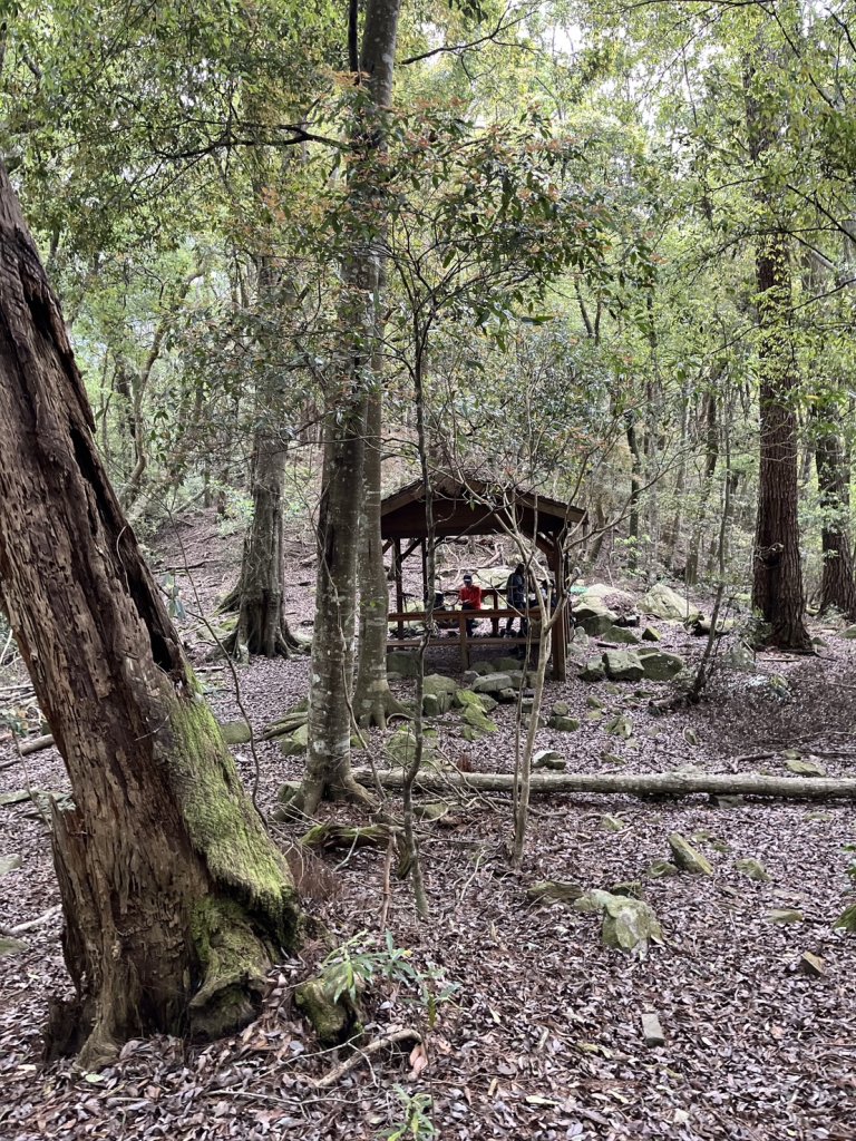 台中 和平 波津加山_2761885