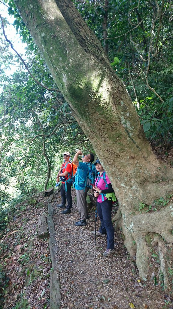 銀河洞、鵝角格山、待老坑山107.7.15(日)_454561