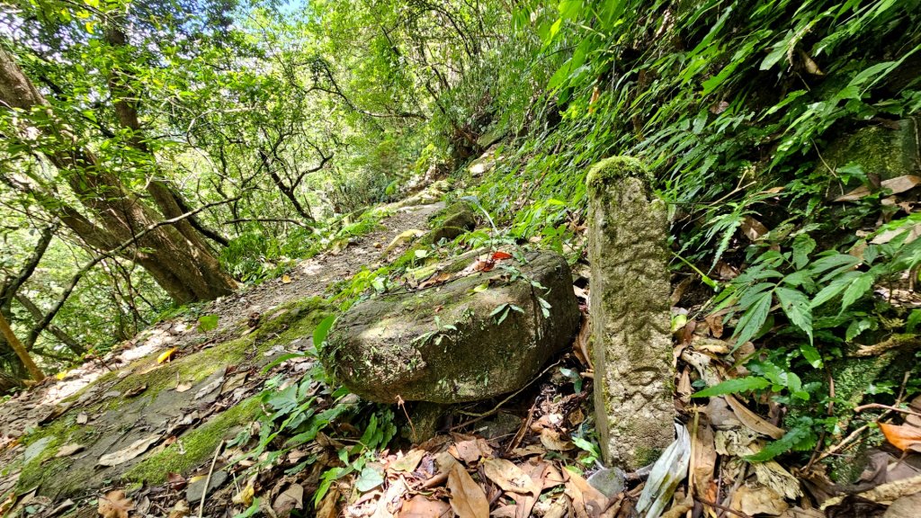 崩山坑古道+三貂嶺隧道騎單車_2224741