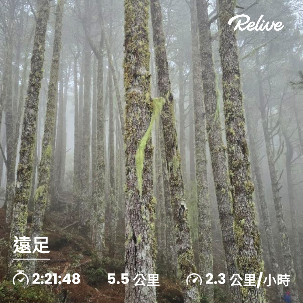 20241124-1130 南二段10座百岳_2665693