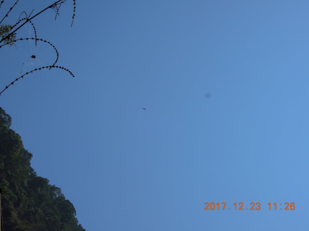 20171223_達那伊谷里美步道_868450