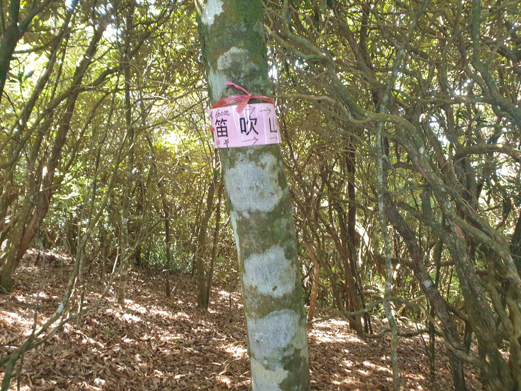 橫嶺山、沙蓮山與笛吹山_1563362