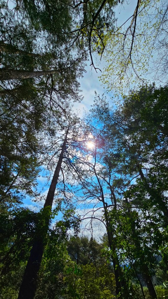 112.02.25 軍艦岩-芝生毛台山_2042382