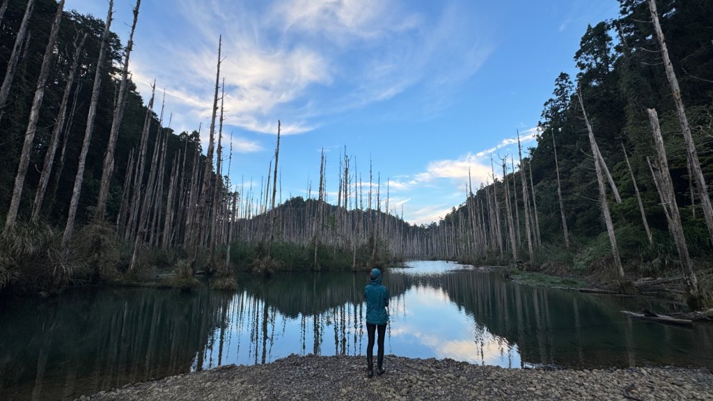 水漾森林+瞑月神木_2768826