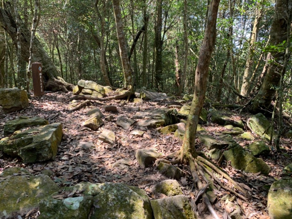 谷關七雄老六～白毛山_562567