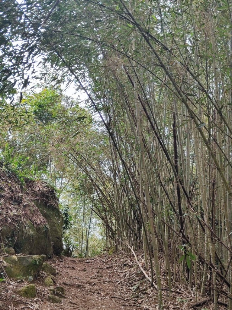 馬那邦山_2666824