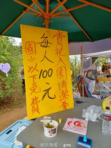 【南投中寮】粉紅山丘麝香木。 瑰蜜甜心玫瑰園_2450488