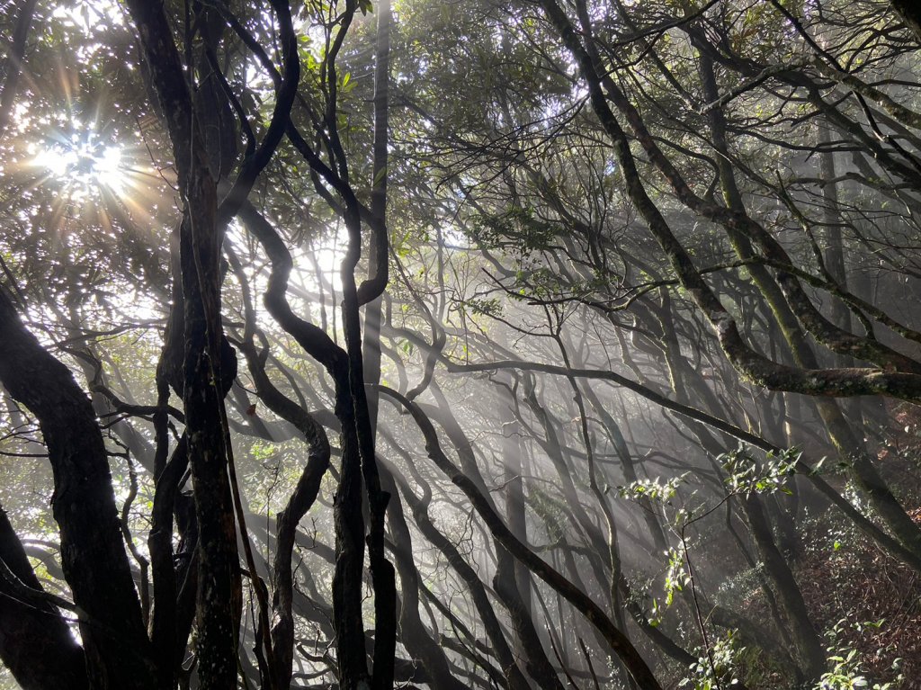 鳶嘴,捎來,橫嶺_1958513