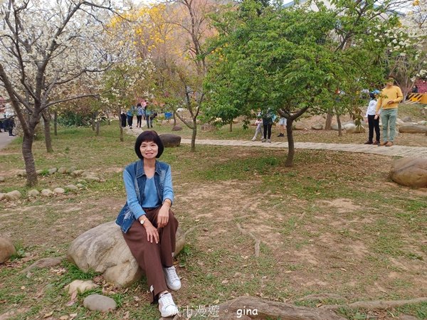 【台中后里】春日賞花。崴立機電櫻花公園_2441596