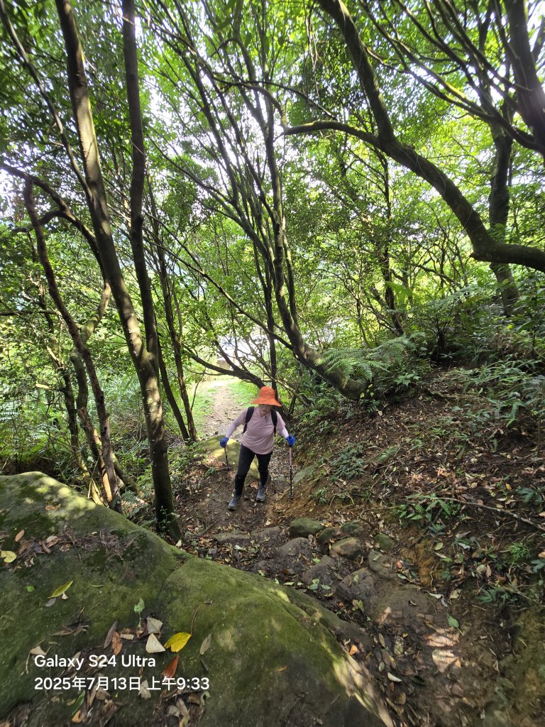 2025-07-13臺北大縱走第四段：風櫃口至中華科技大學_2835981