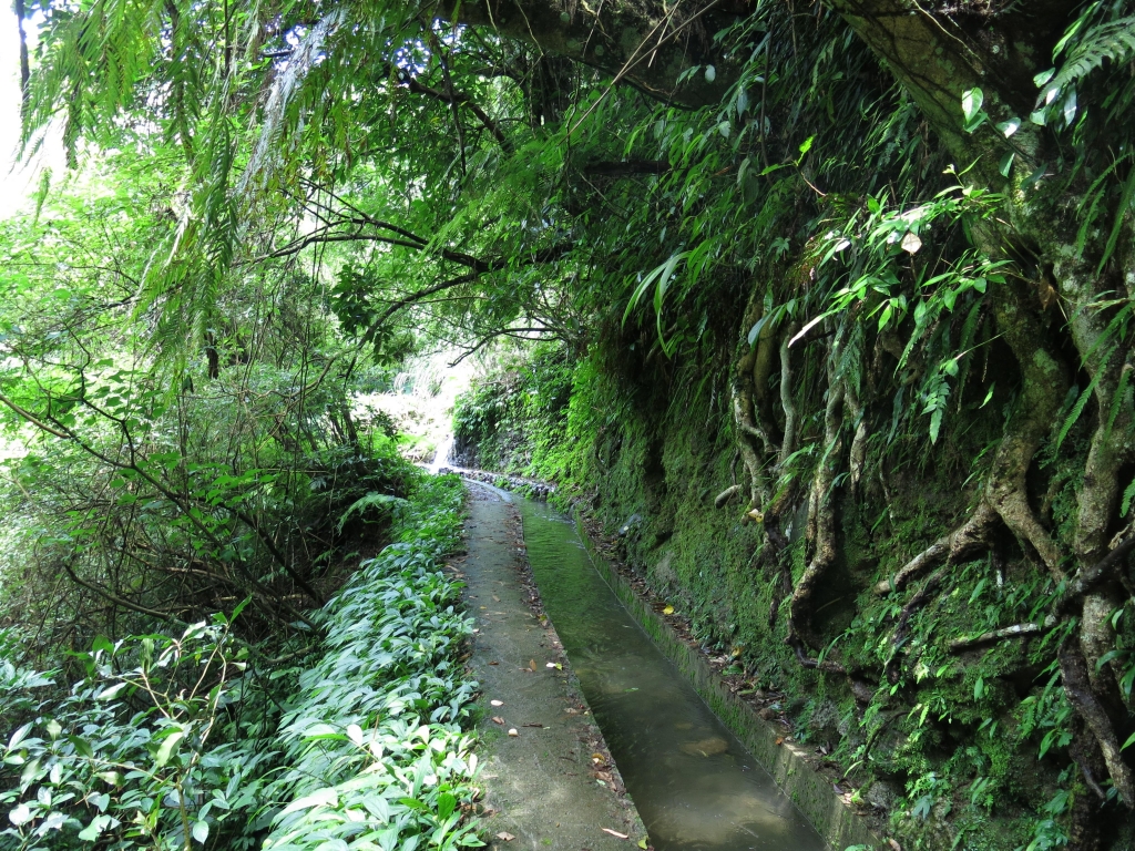 始祖鳥X健行筆記坪頂古圳半日健行活動_50784