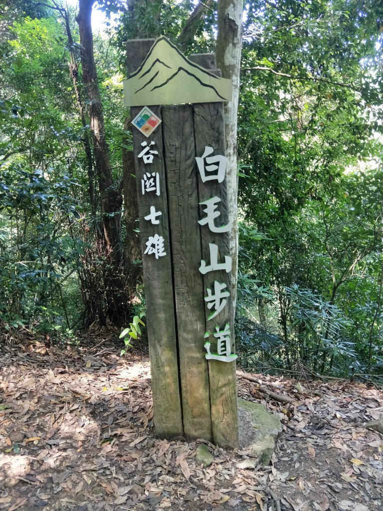 步道巡訪員 l 白毛山步道6月巡訪日誌_996271