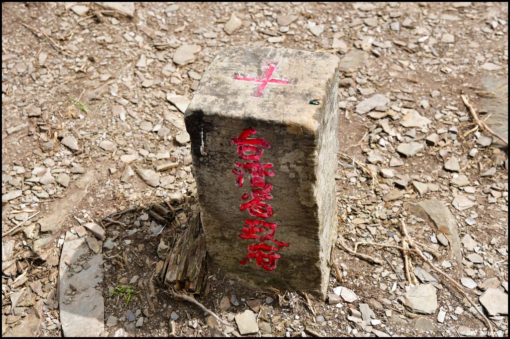 合歡南峰~散個步就到 2018.5.1_332054