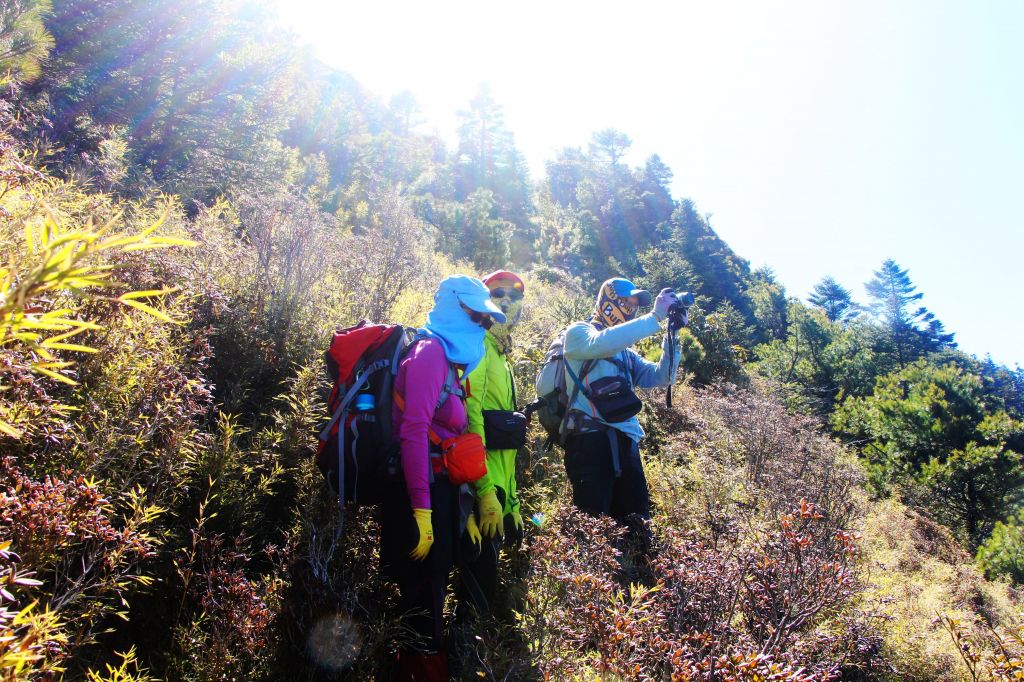 閂山、鈴鳴山 ~ 山巔雲端 , 與美麗山林_307212