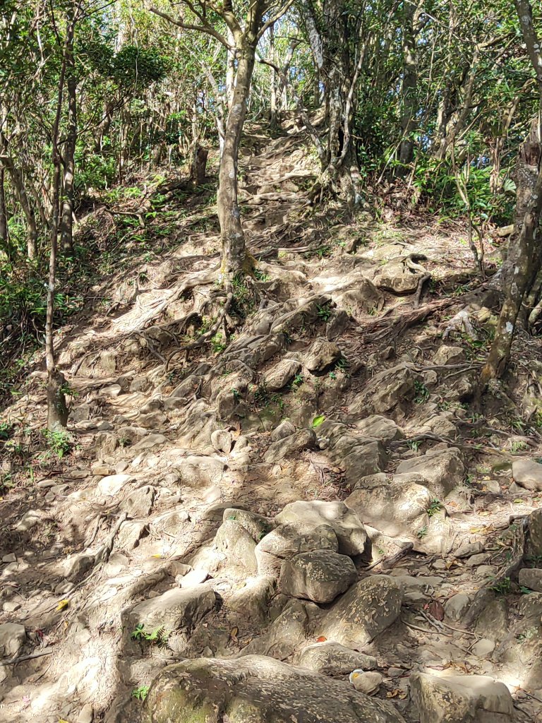 微笑山線：【二格山系】筆架連峰段_2920993