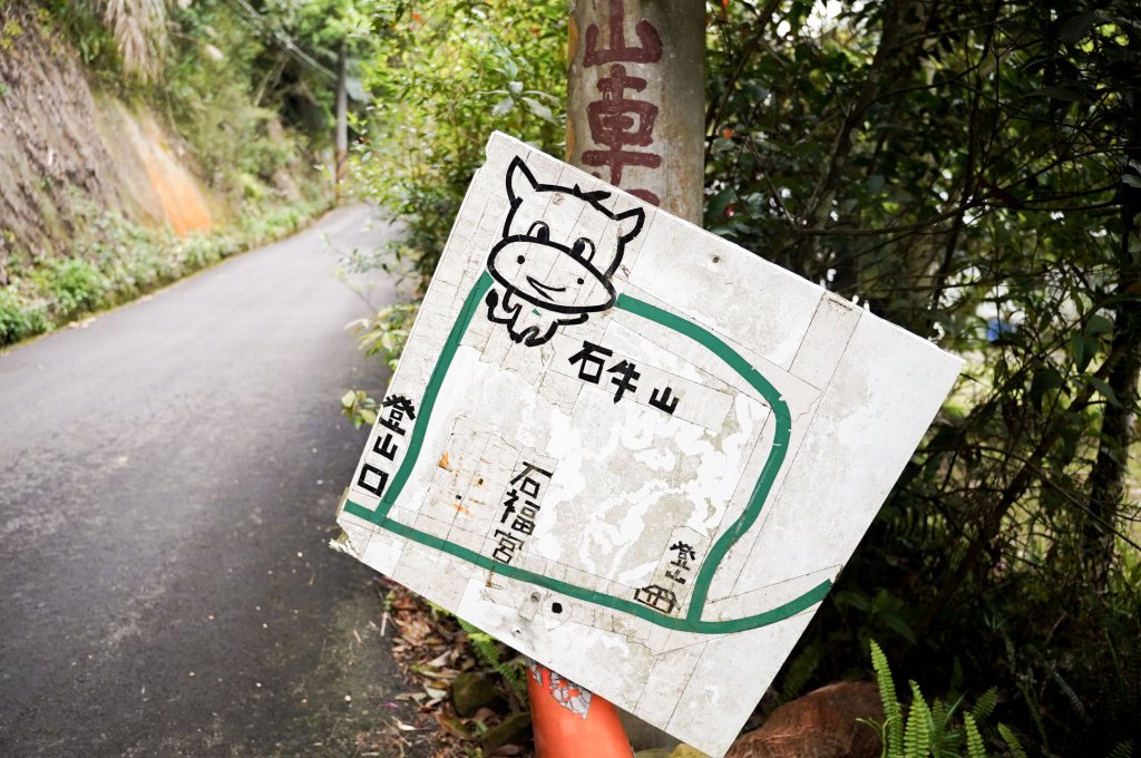 新竹石牛山步道｜小百岳封面圖