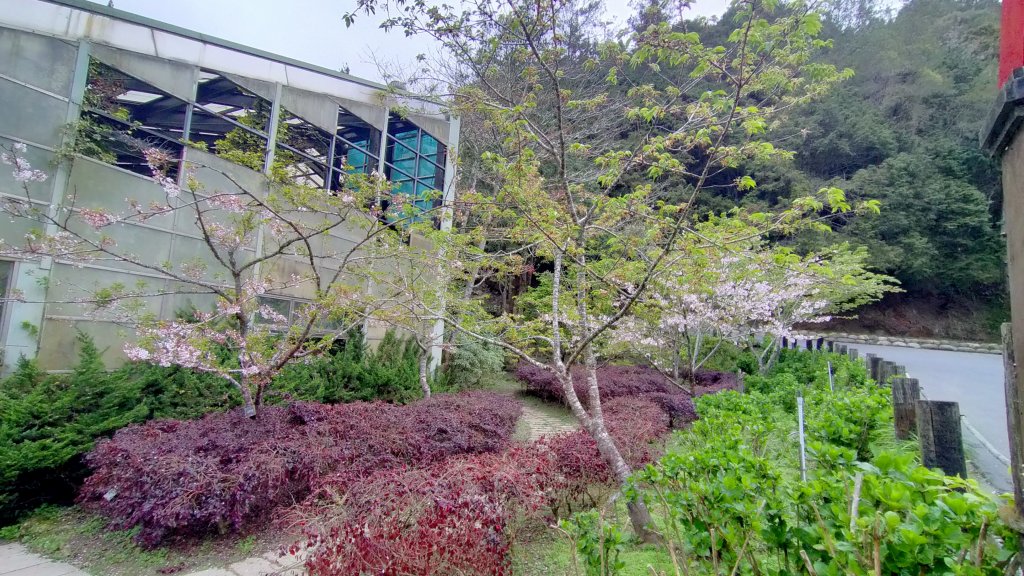 杉林溪一日遊_1661439