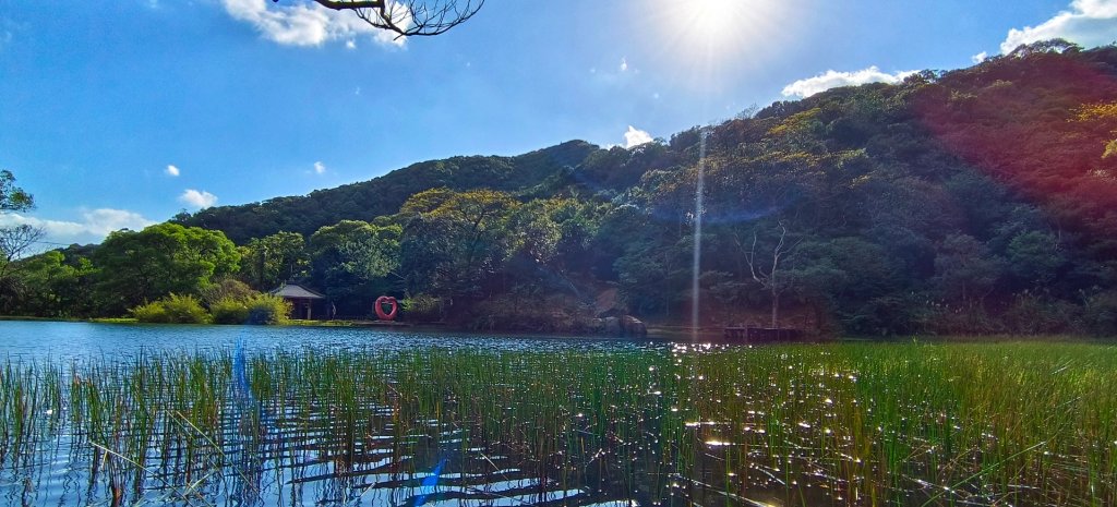 111.12.24 五指山古道-友蚋山-新山-夢湖-登山口_1967670