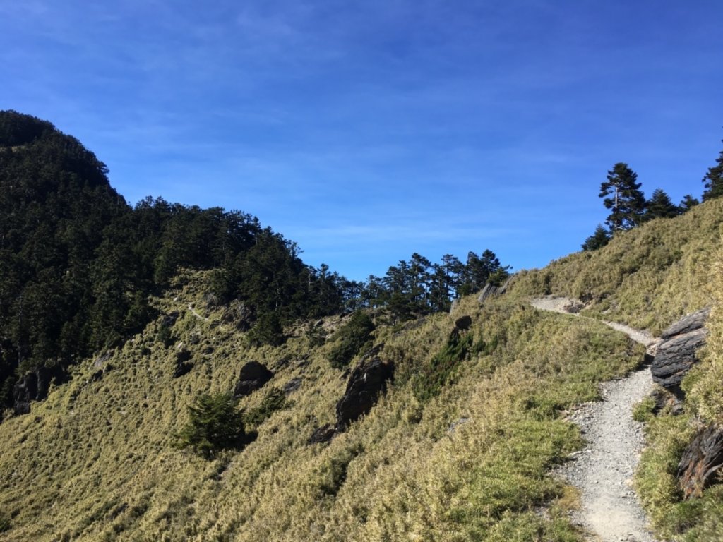 玉山主東西單攻_783566