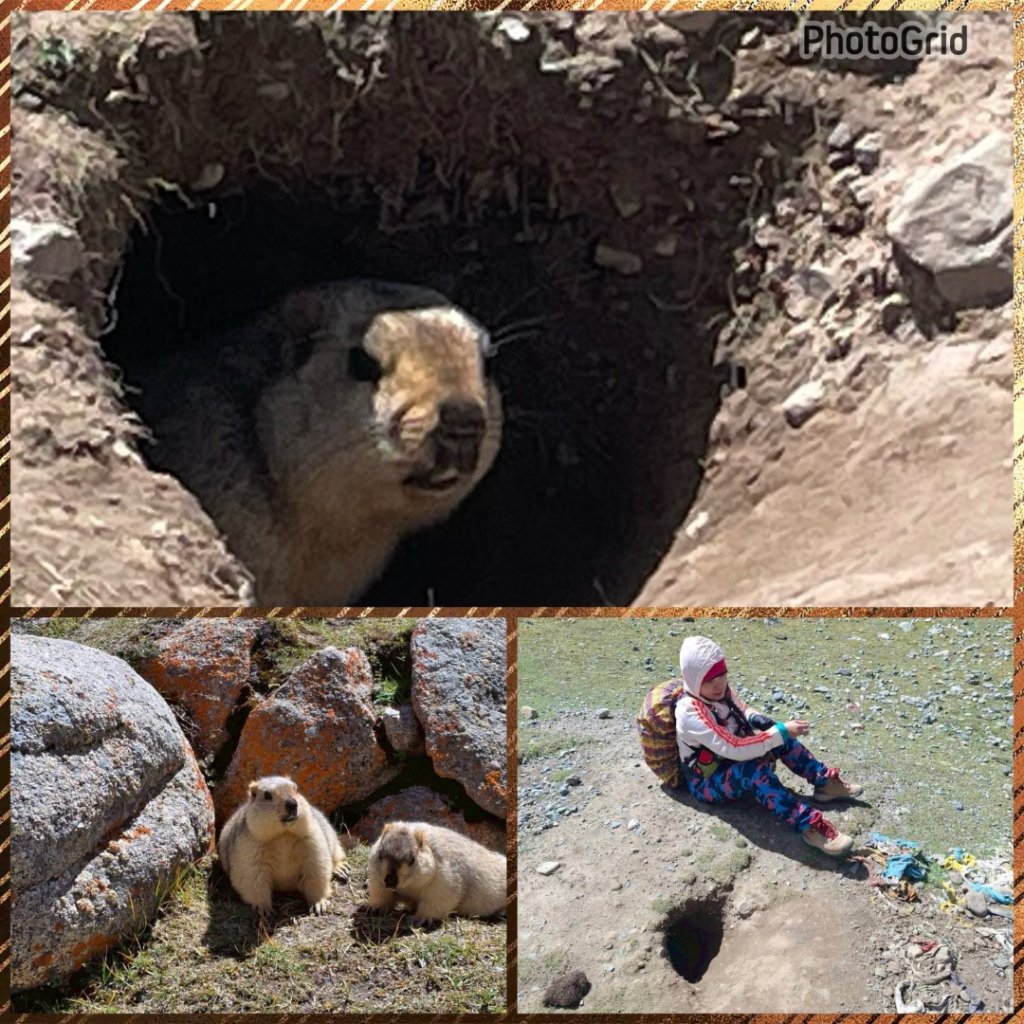 西藏-崗仁波齊轉山/珠峰大本營5200米_2897490