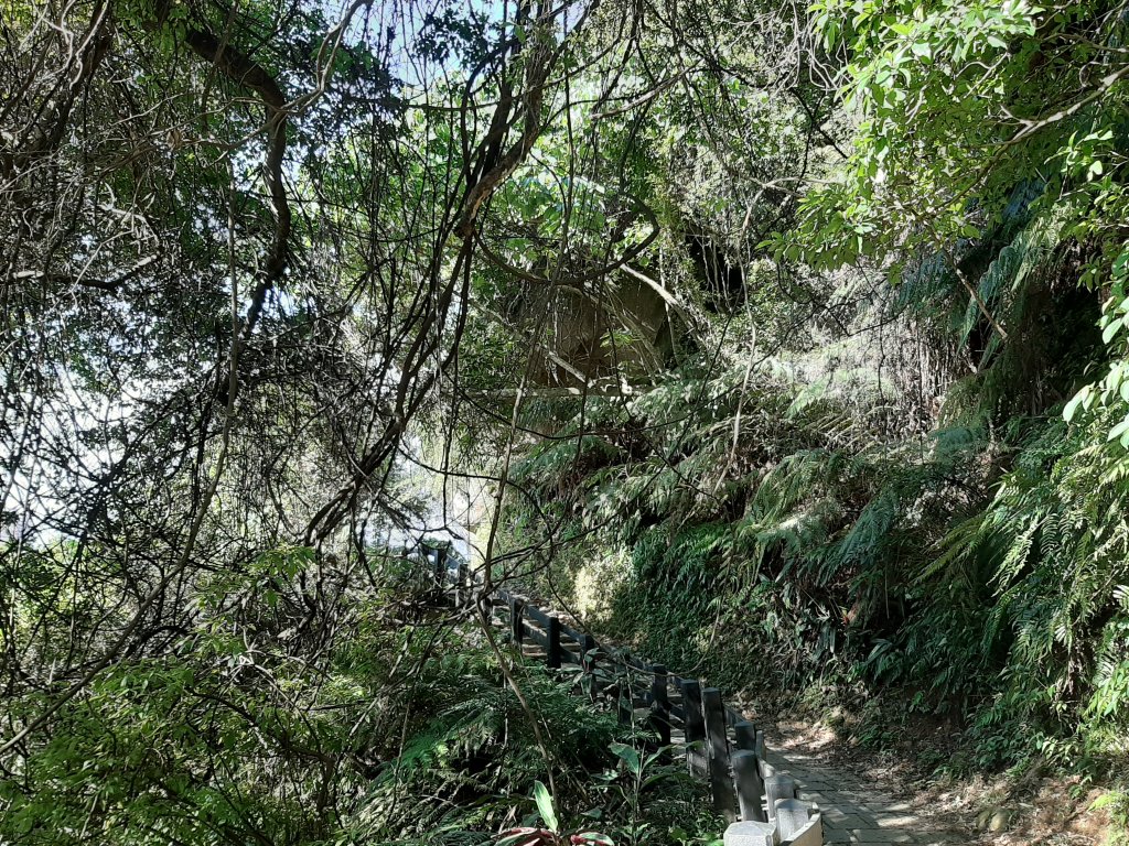 虎、豹、獅、象、九五峰、南港山、拇指山_1145242