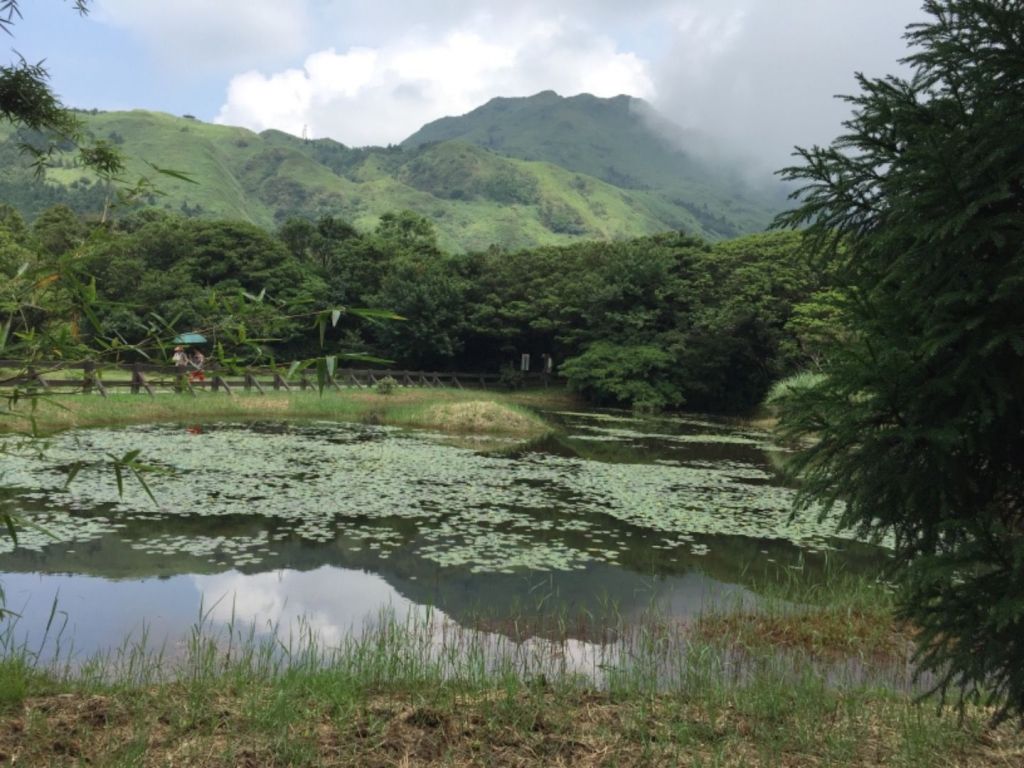 涓絲（魚路古道）-擎冷步道-七星山主峰下_359248