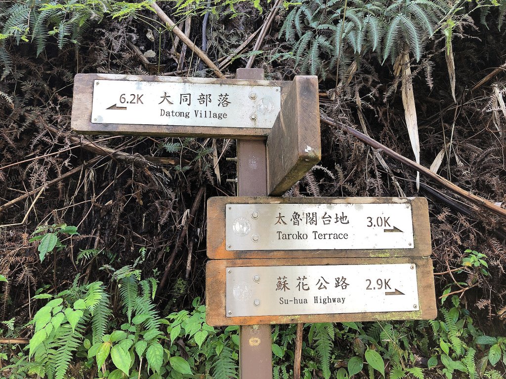 ~ 大禮大同步道 ~_2039520