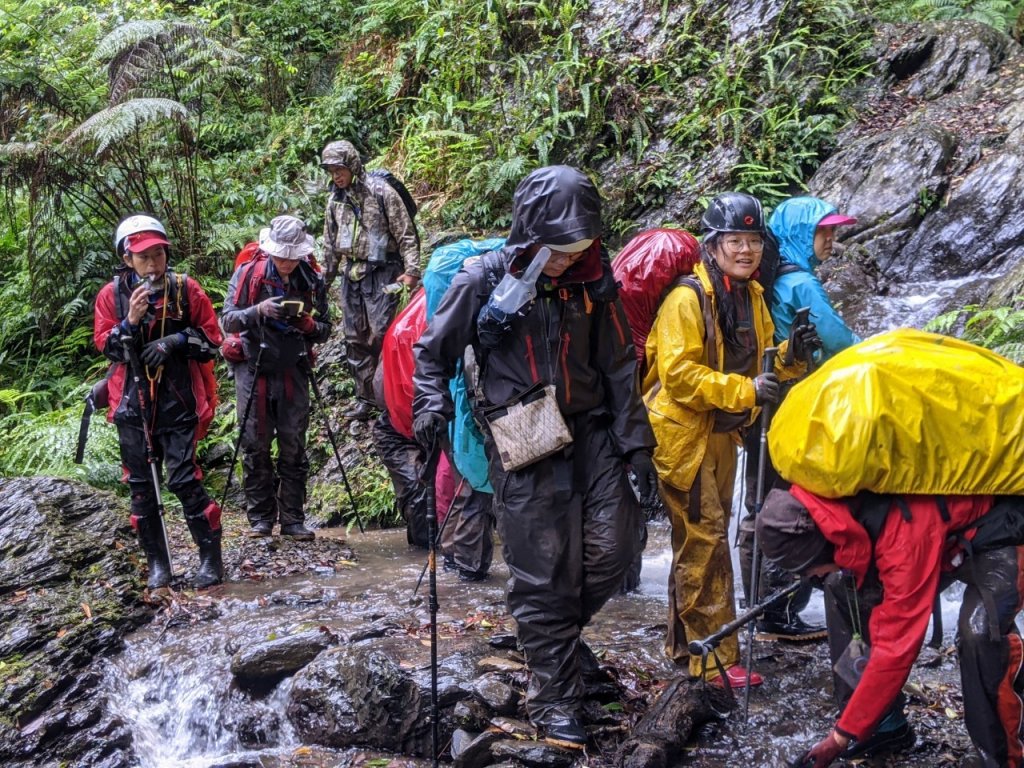 露門山路門封面圖