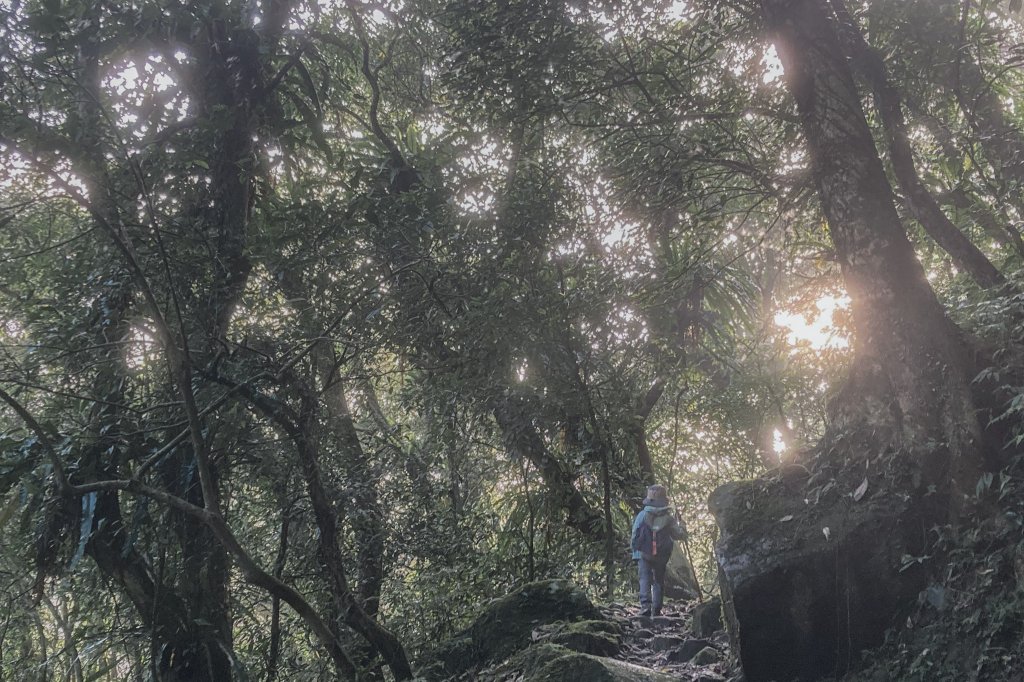灣潭古道 & 北勢溪古道連走(淡蘭古道中路)_2030115