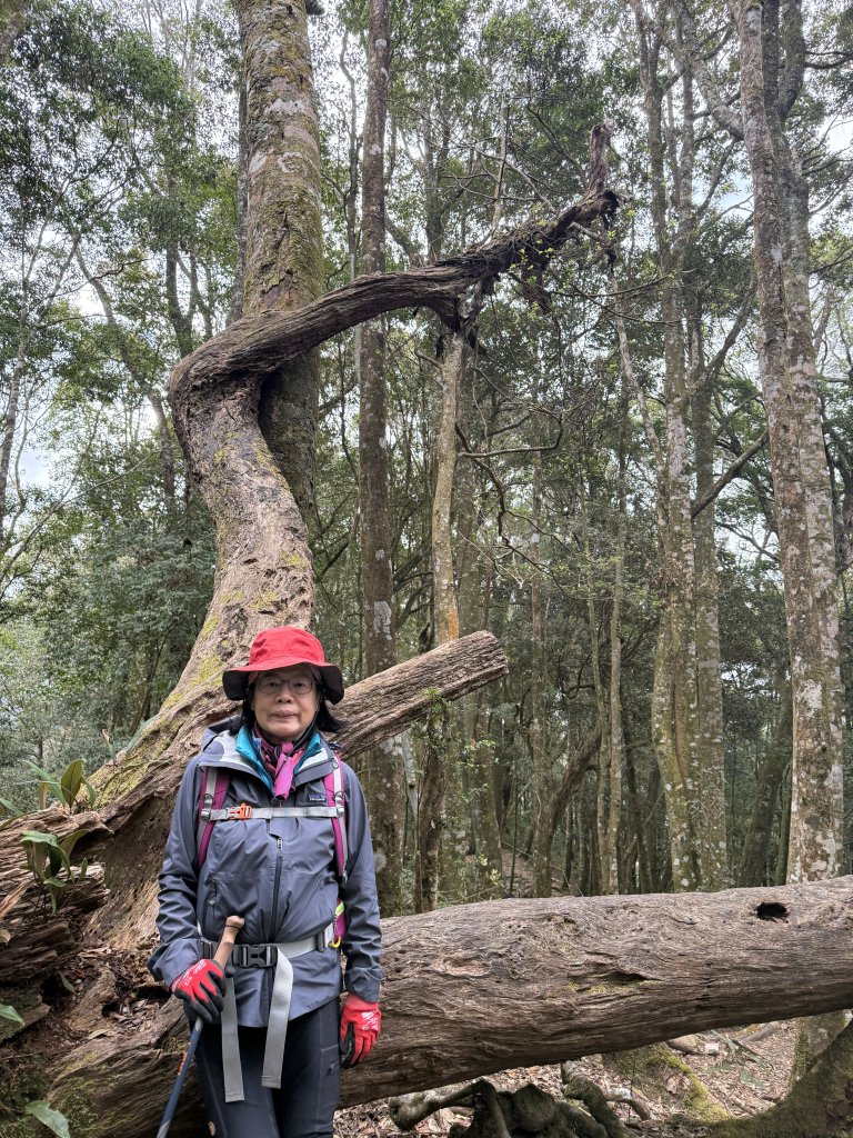 屋我尾山_2686197