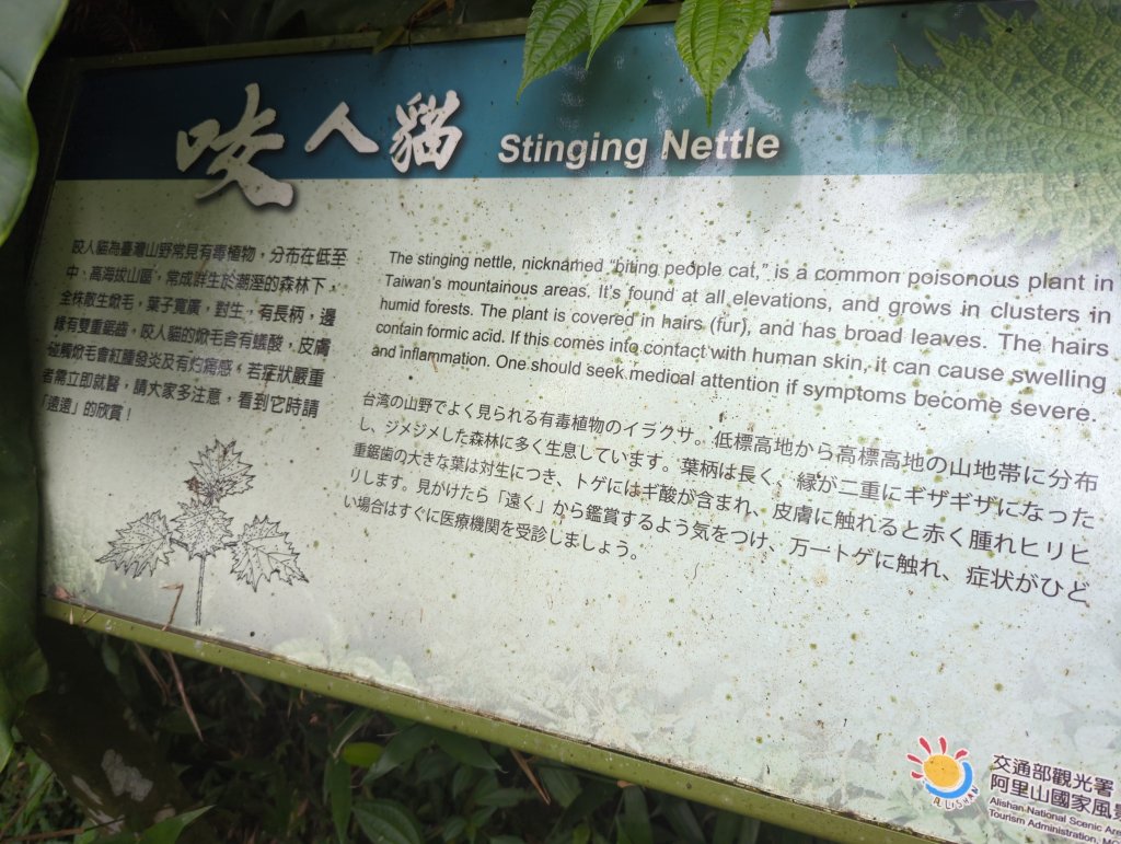 2024.10.12－會讓人迷糊的地方：迷糊步道_2627768