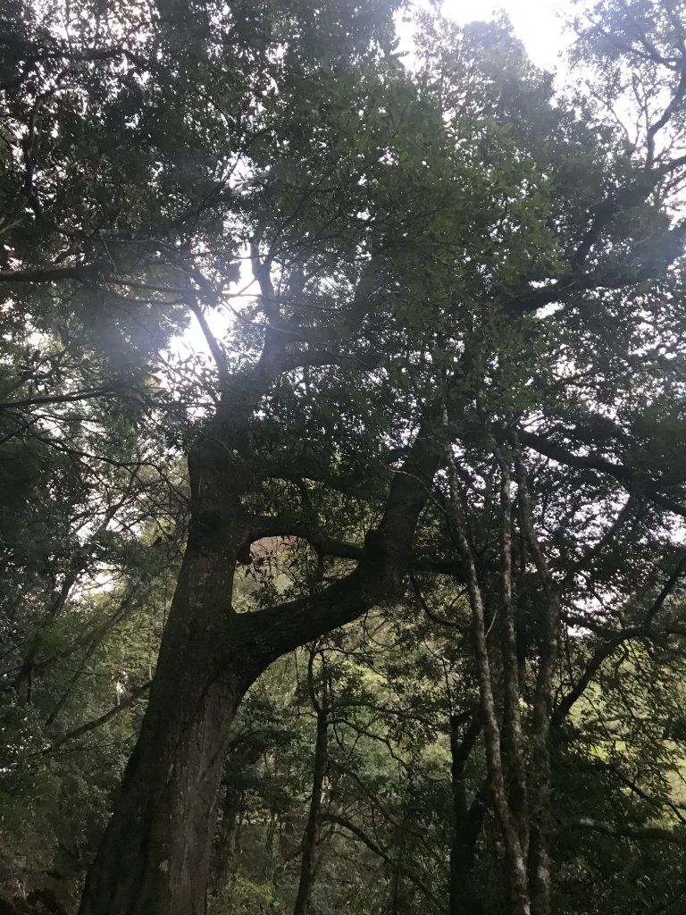 霞喀羅大山,佐藤山順訪佐藤駐在所_1324491