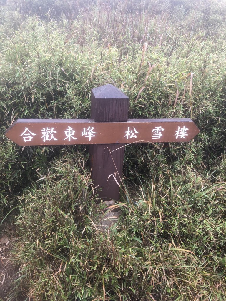 狂風暴雨合歡山_593626