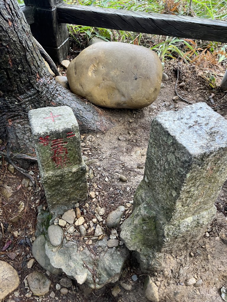 頭嵙山 大坑步道封面圖