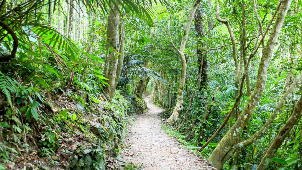 雲森瀑布_2872189